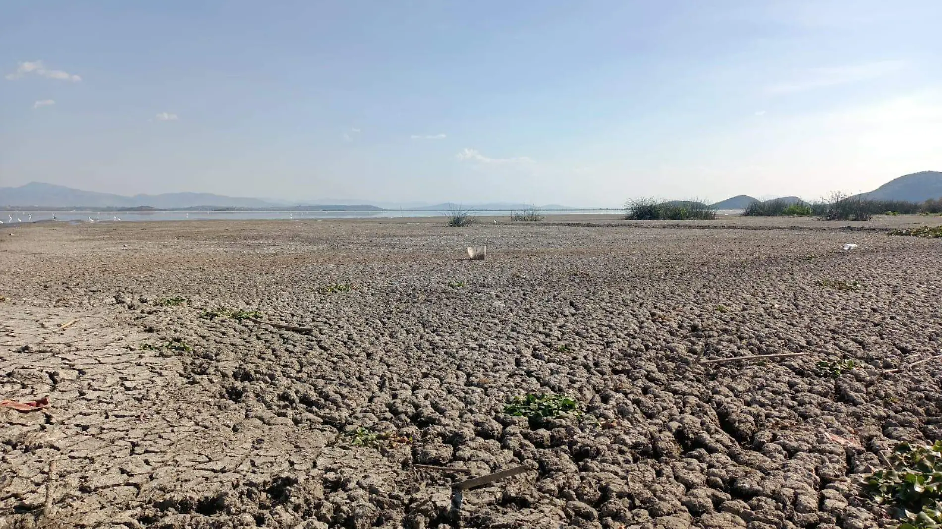 BAJO NIVEL DE AGUA EN EL LAGO DE CUITZEO PONE EN APRIETOS A PESCADORES. FOTO JORGE CARMONA  EL SOL DEL BAJÍO (7)